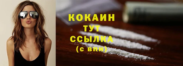 гидра Арсеньев