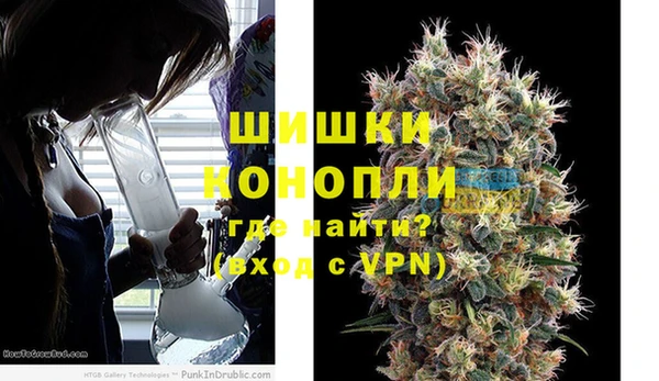 гидра Арсеньев