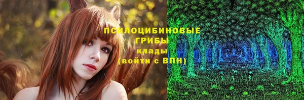 гидра Арсеньев