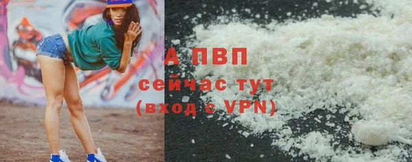 гидра Арсеньев
