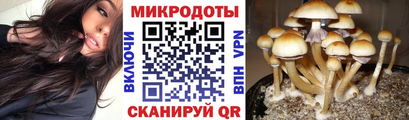 Галлюциногенные грибы GOLDEN TEACHER MEGA рабочий сайт Сухиничи